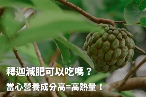 釋迦狗可以吃嗎